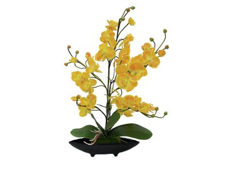 Grande Orchidée Artificielle En Pot H80cm Couleur Crème Floranet