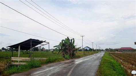 Cuaca Hari Ini Paser Batu Sopang Berawan Tanah Grogot Hujan Disertai