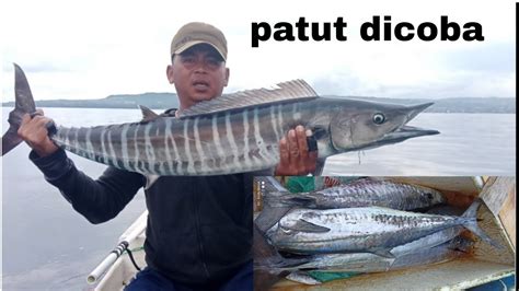 UMPAN HIDUP MANCING TENGGIRI TEKNIK TONDA Mancingmania