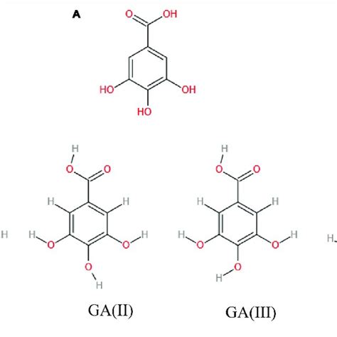 Molecular Structure Of Gallic Acid A Conformers Of Gallic Acid B Download Scientific