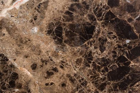 Elegant Brown Marble Texture For Your Project Stock Photo Image Of