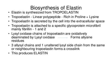 Enzymes related to elastin structure and breakdown