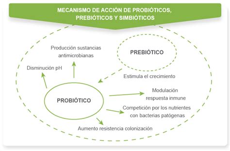 Alimentos Funcionales IiiprebiÓticos ProbiÓticos Y SimbiÓticos