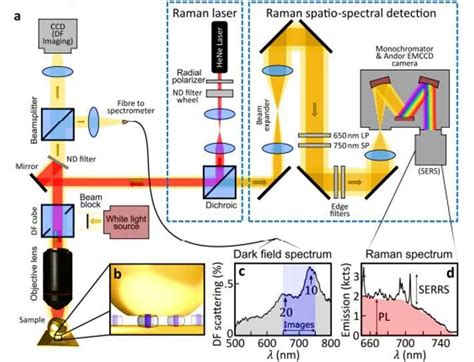 Nanoscopy Through A Plasmonic Nanolens