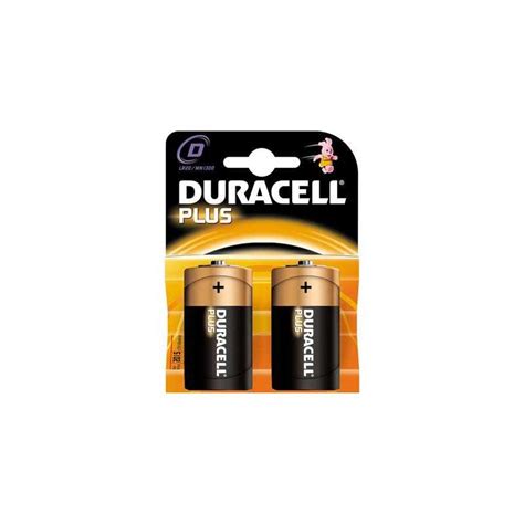 Duracell Pila Alcalina Torcia Mn1300 Pz 2