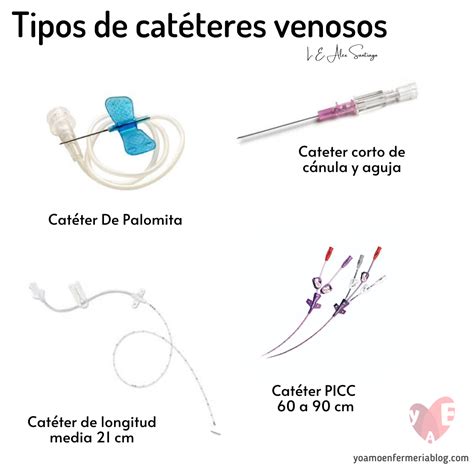 Tipos De Cat Teres