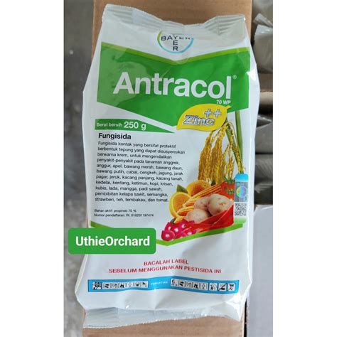 Jual Antracol 70 WP Zinc Fungisida 250 Gr Shopee Indonesia