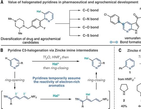 Halogenation Of The 3 Position Of Pyridines Through Zincke Imine