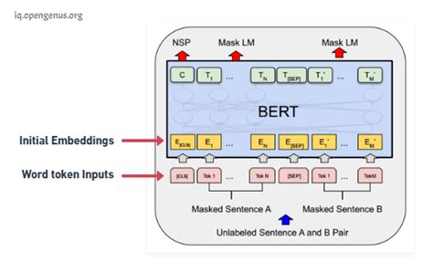 LSTM & BERT models for Natural Language Processing (NLP)