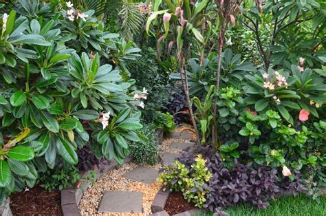 Tropical Breeze Is A Sydney Tropical Garden Filled With A Wide Variety