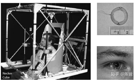眼动追踪技术的方法 知乎