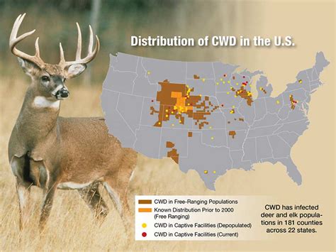 Chronic Wasting Disease Concerns Agweb