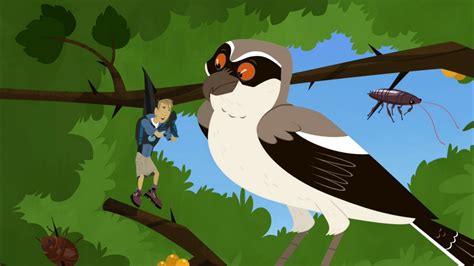 Mystery On The Prairie Wild Kratts Preview Wild Kratts Fanon Wiki