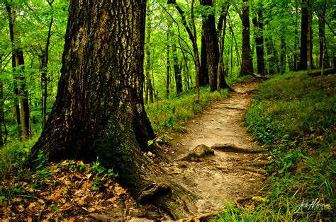 Backbone State Park | Delaware County, Iowa | Josh Meier Photography