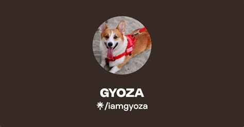 GYOZA Instagram Linktree