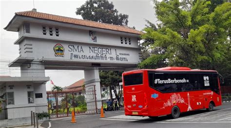 Penebangan Pohon Massal Di SMAN 1 Semarang Disebut Bisa Picu Beragam