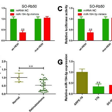 HEIH Negatively Regulated MiR 194 5p Expression In Retinoblastoma A