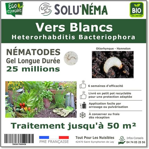 Nématodes Vers Blancs 25 millions nématodes HB Greenweez