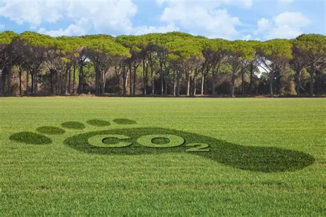 How to make your company carbon neutral - Document Management System ...