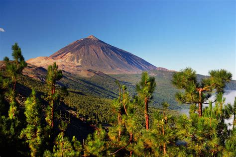 Teide Teneriffa Ausflug Zum Teide Nationalpark Weg De