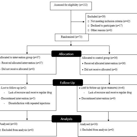 Consort Flow Chart Of Randomized Controlled Trial Download Scientific