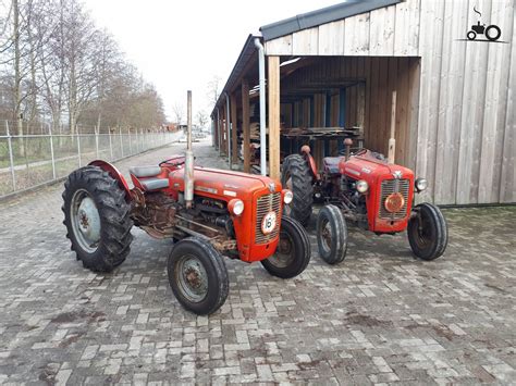 Foto Massey Ferguson Meerdere 1554729