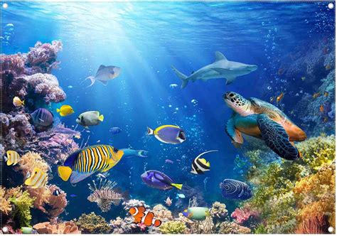 Amazon BELECO Underwater World Backdrop 7x5ft Fabric Undersea