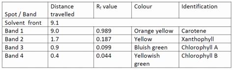 how to calculate rf value in paper chromatography Chromatography worksheet 2