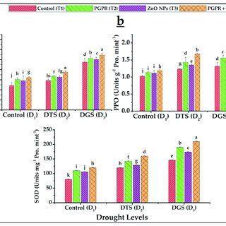 Effects Of Pgpr And Zno Nps On Foliar Proline A And Total Phenolics