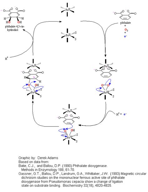 Eawag Bbd Reaction Reacid R0102