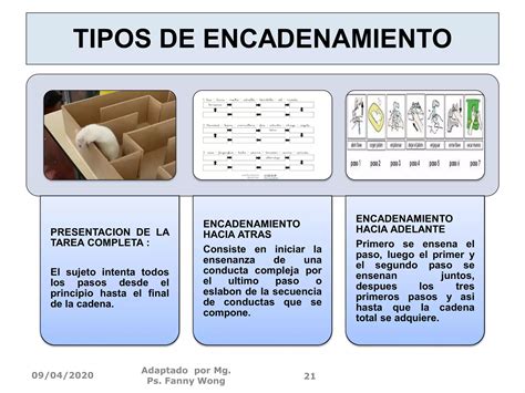 Moldeamiento Y Encadenamiento De Conductas Ppt