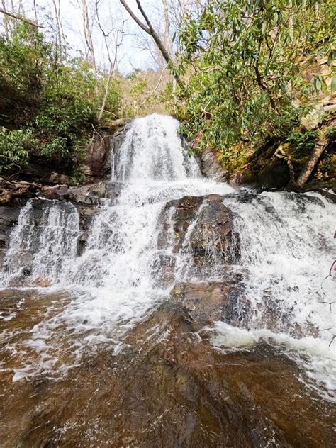 Laurel Falls Trail Smoky Mountains: How to Get There, What to Expect & More