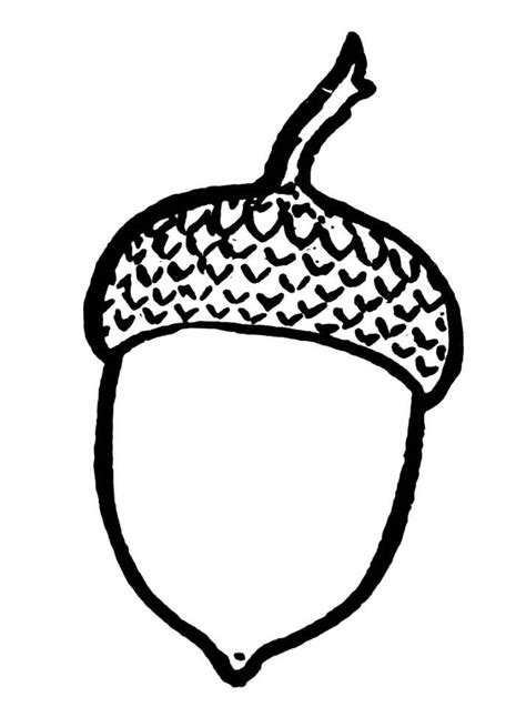 Printable Acorn Coloring Page