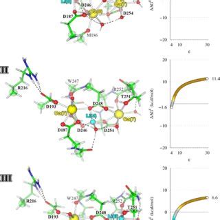 Ca 2 versus Li competition in the PKCα trinuclear Ca 2 sites in the