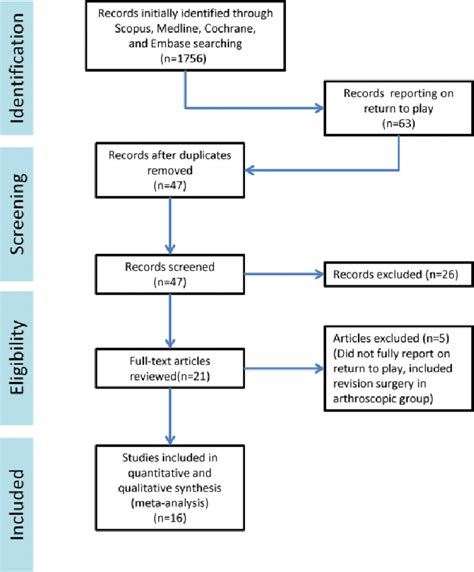 Systematic Review Flowchart