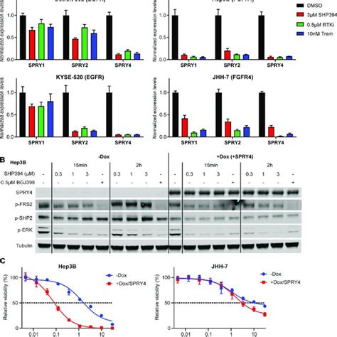 Rapid FGFR Feedback Activation Is Caused By Downregulation Of Sprouty