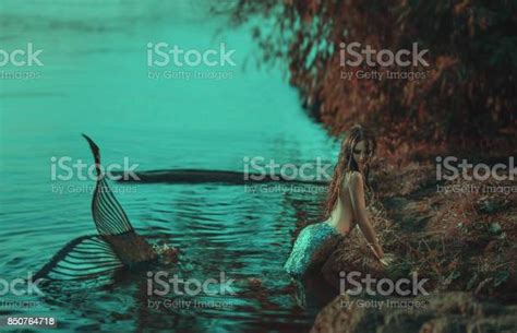 Putri Duyung Yang Sebenarnya Foto Stok Unduh Gambar Sekarang Putri
