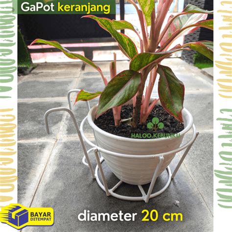 Gantungan Pot Bunga Besi Kokoh Model Keranjang Murah Tempat Rak Pot