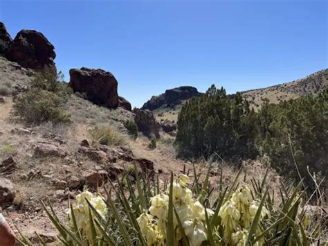 2023 Best Historic Site Trails in Socorro | AllTrails