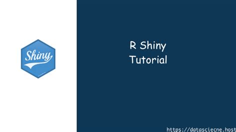 R Shiny Tutorial Rstudio Exploring R Shiny Basic And Advanced