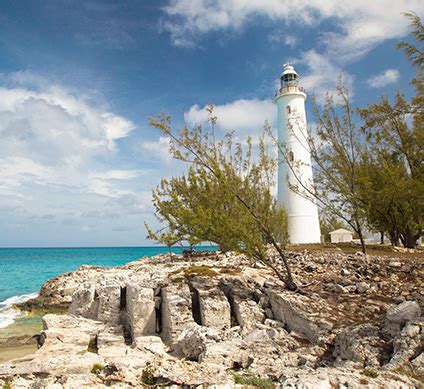 Inagua The Birdwatching Capital Of The Bahamas Islands