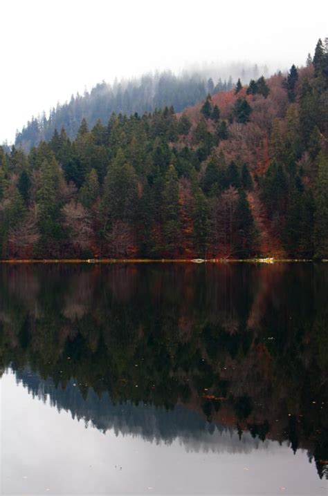 Free Images Tree Natural Landscape Body Of Water Sky Natural