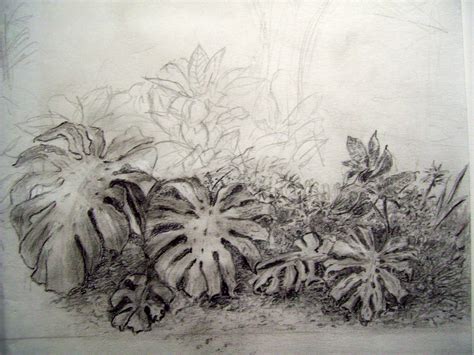 Realistic Plant Sketches Realistic hand drawn ripe green hop cones beer ...