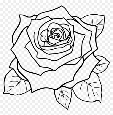 Rose Outline Line Drawing Of A Rose Free Download Clip - Rose Clipart ...