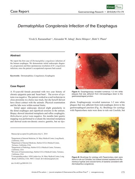 Pdf Dermatophilus Congolensis Infection Of The Esophagus