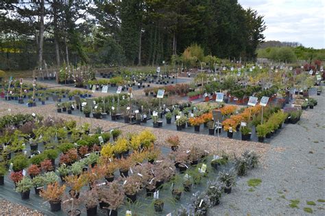 Les Meilleurs Jardiniers Amboise Pour Entretenir Votre Jardin