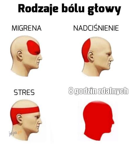 To Zbyt Wiele Jeja Pl