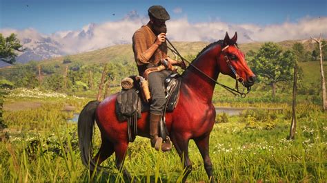 ЛУЧШИЕ ЛОШАДИ! - Red Dead Redemption 2 - YouTube