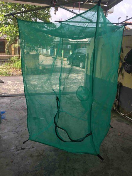 Jual Kandang Lalat Bsf Maggot M X M X M Di Lapak Rumah Produksi