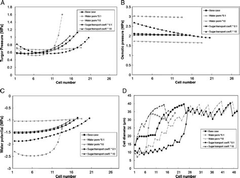 Predicted Radial Profile Of Turgor Pressure A Osmotic Concentration